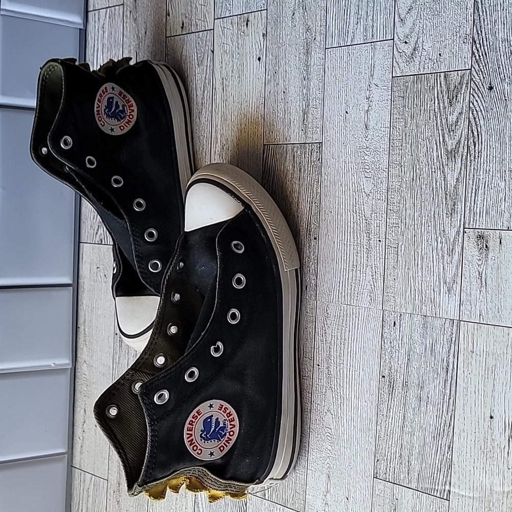 Junior Dinosaur Converse